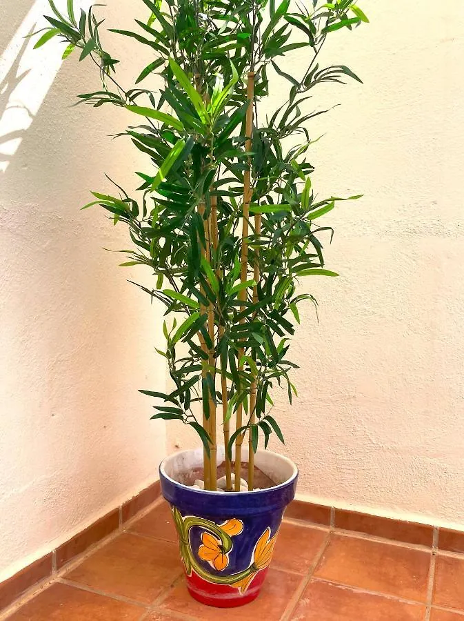 וילה הוילה לה הרדורה Casa Salix ספרד
